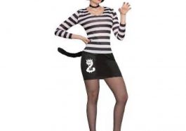 Cat Burglar Costume - Sexy Fancy Dress Ideas for a Party and Halloween