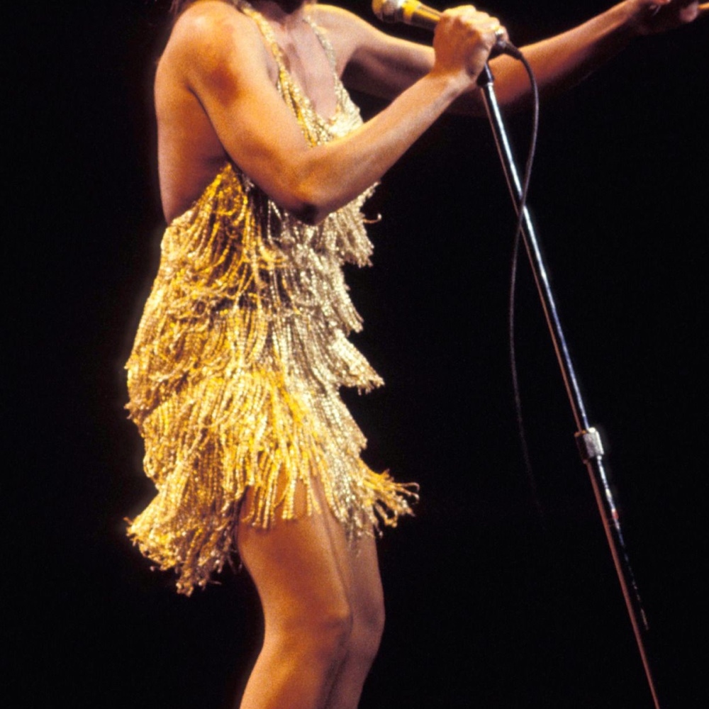 Tina Turner Costume - Celebrity Singer Fancy Dress - Cosplay - Belt