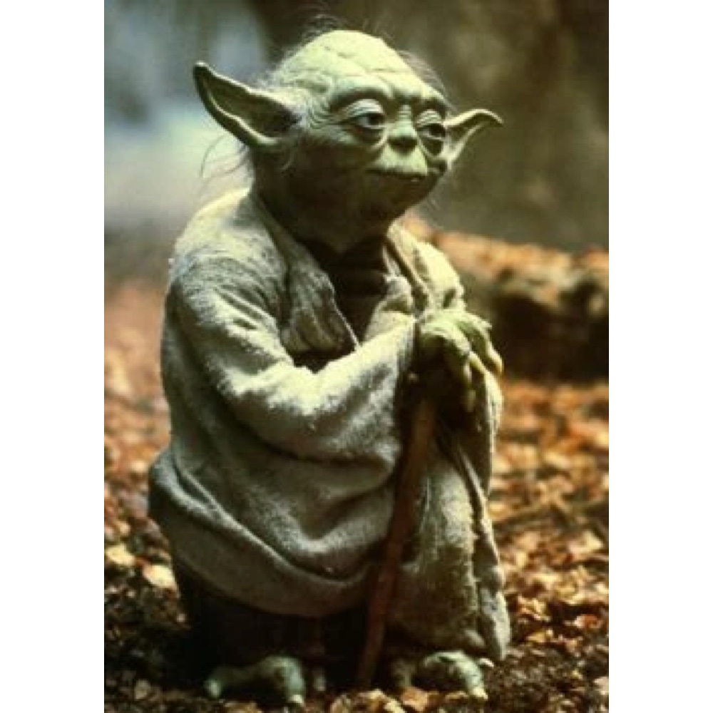 Yoda Costume - Star Wars - The Empire Strikes Back Fancy Dress Ideas - Cloak