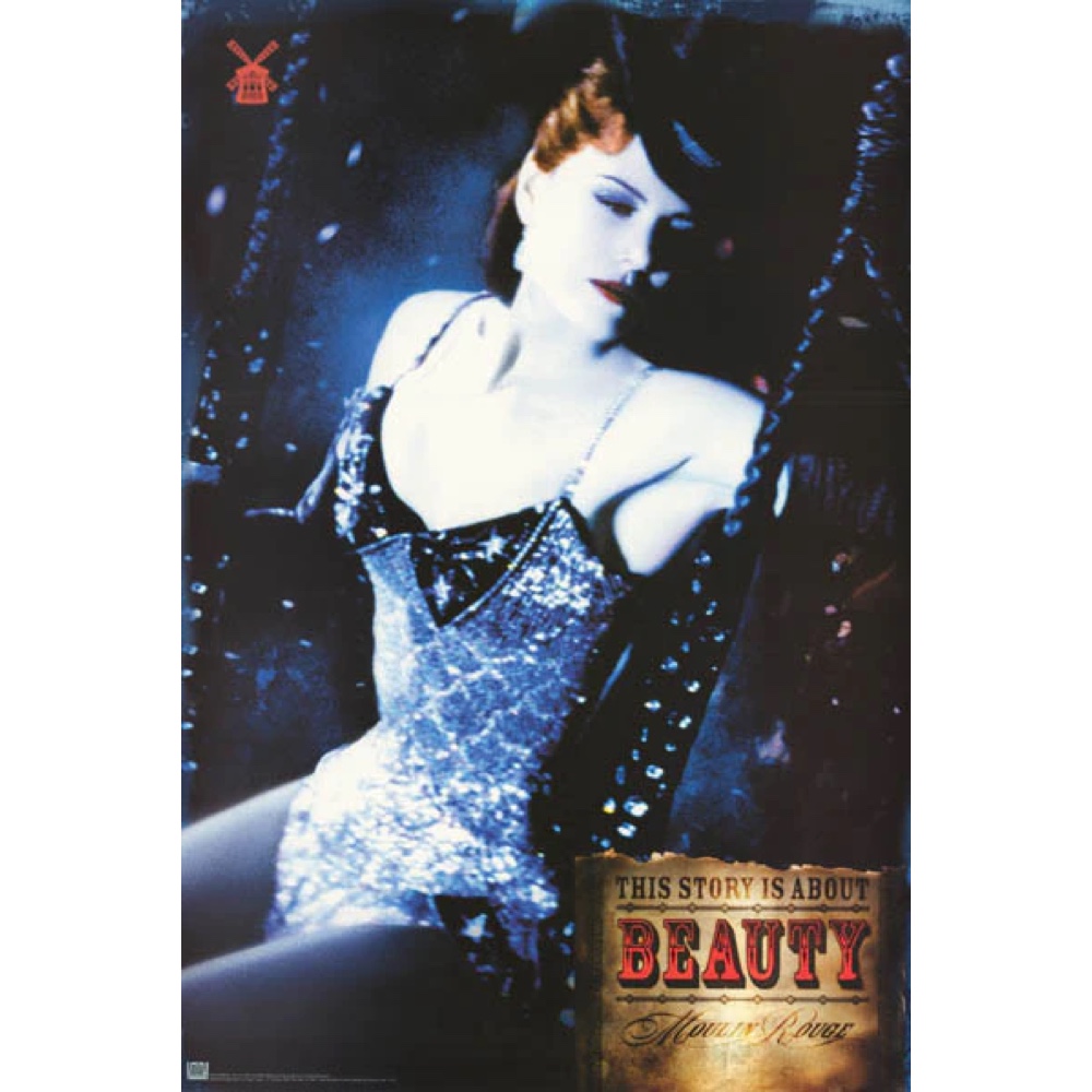 Satine (Moulin Rouge) Costume - Nicole Kidman Fancy Dress - Corset
