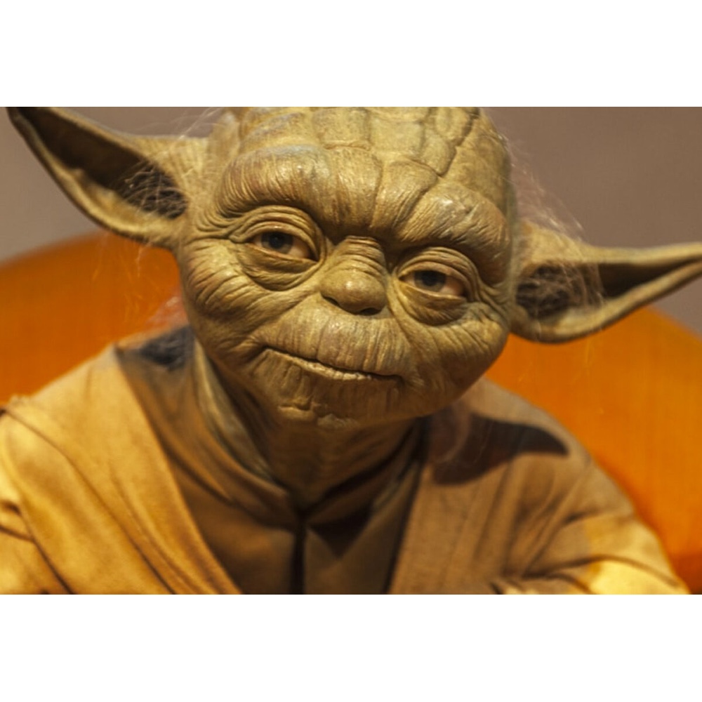 Yoda Costume - Star Wars - The Empire Strikes Back Fancy Dress Ideas - Ears