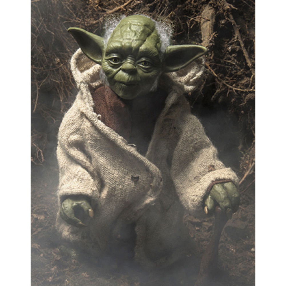 Yoda Costume - Star Wars - The Empire Strikes Back Fancy Dress Ideas - Hands