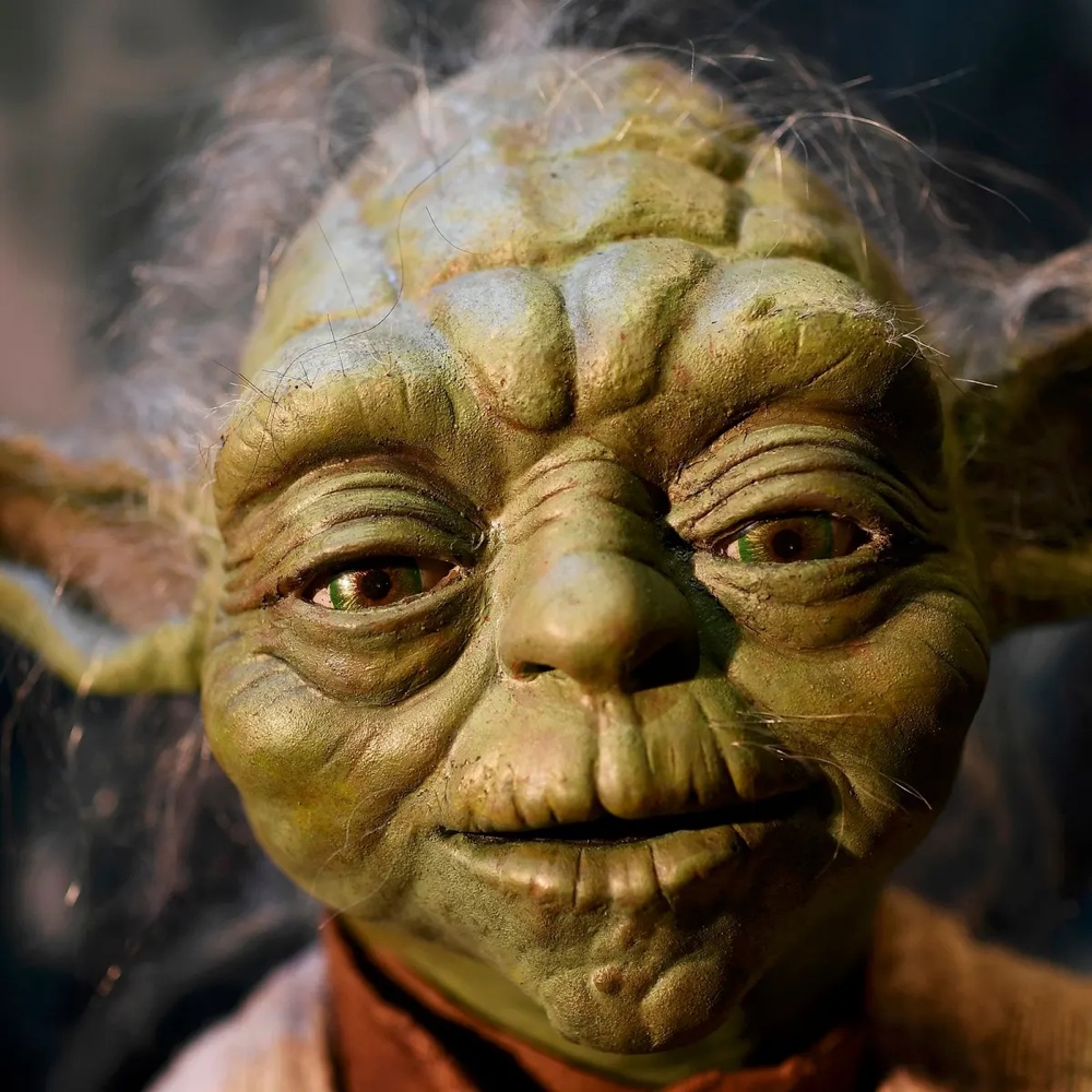 Yoda Costume - Star Wars - The Empire Strikes Back Fancy Dress Ideas - Mask