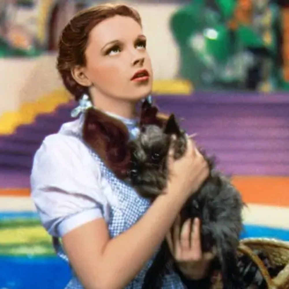 Dorothy Gale Costume - The Wizard of Oz Fancy Dress Ideas - Basket