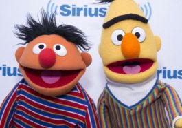 Bert & Ernie Costume - Sesame Street Fancy Dress