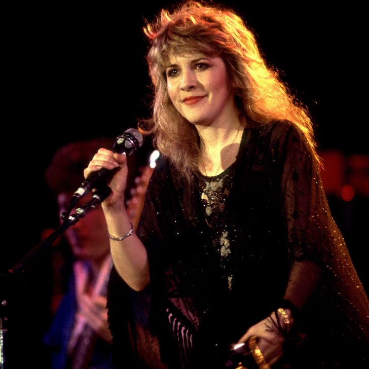 Stevie Nicks Costume - Celebrity Fancy Dress Ideas