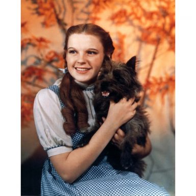 Dorothy Gale Costume - The Wizard of Oz Fancy Dress