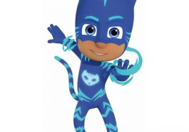 Catboy Costume - PJ Masks Fancy Dress