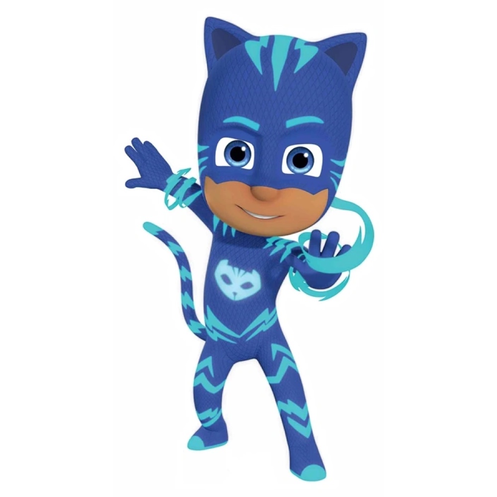 Catboy Costume - PJ Masks Fancy Dress Ideas