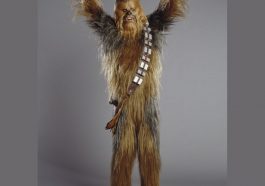 Chewbacca Costume - Star Wars Fancy Dress