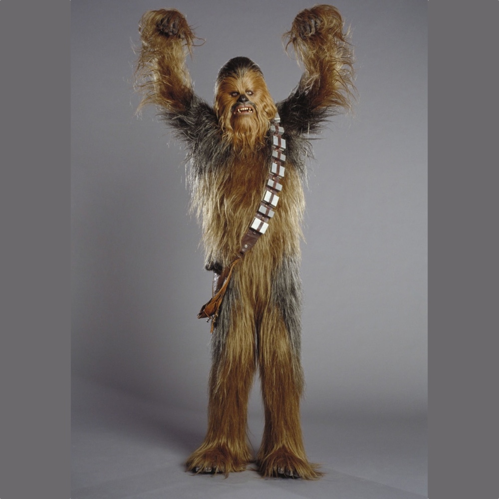 Chewbacca Costume - Star Wars Fancy Dress