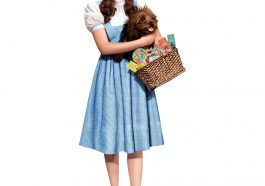 Dorothy Gale Costume - The Wizard of Oz Fancy Dress Ideas