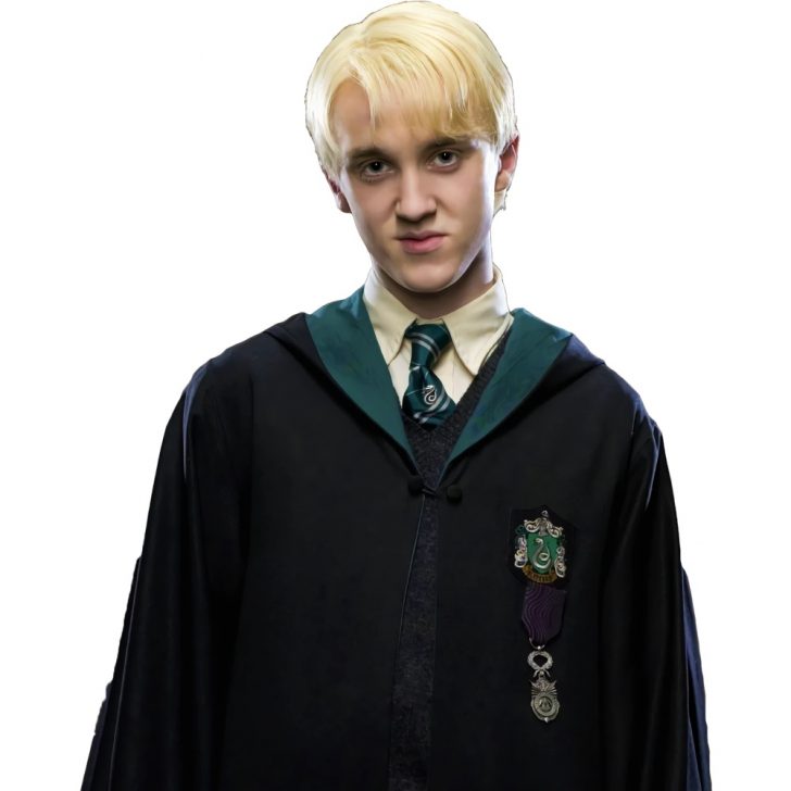 Draco Malfoy Costume Harry Potter Fancy Dress Ideas 9660