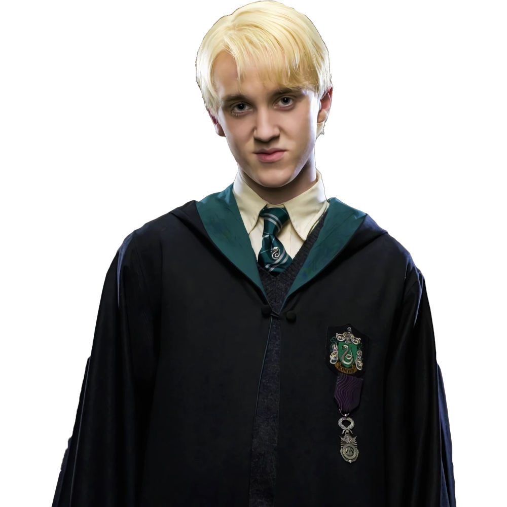 Draco Malfoy Costume - Harry Potter Fancy Dress