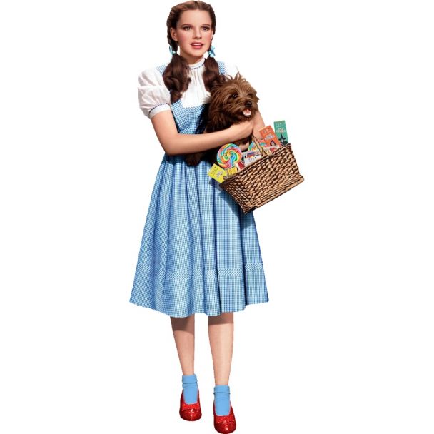 Kid Girl Wizard Oz Dorothy Costume Cos Gingham Dress | Meses Sin Interés - Foto 7