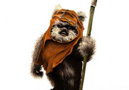 Ewok Costume - Star Wars Fancy Dress - Return of the Jedi