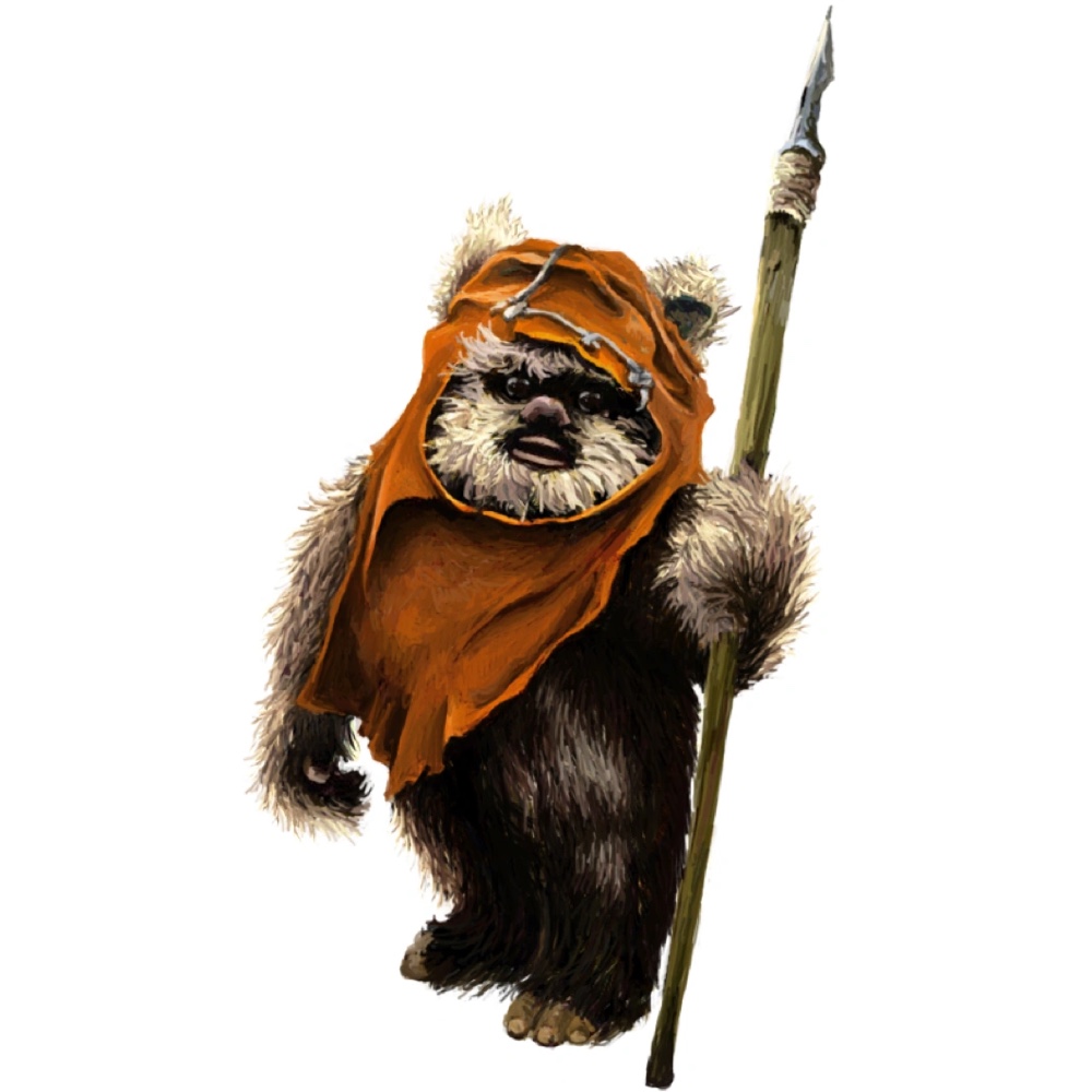 Ewok Costume - Star Wars Fancy Dress - Return of the Jedi