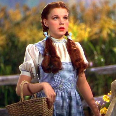 Dorothy Gale Costume The Wizard of Oz Fancy Dress