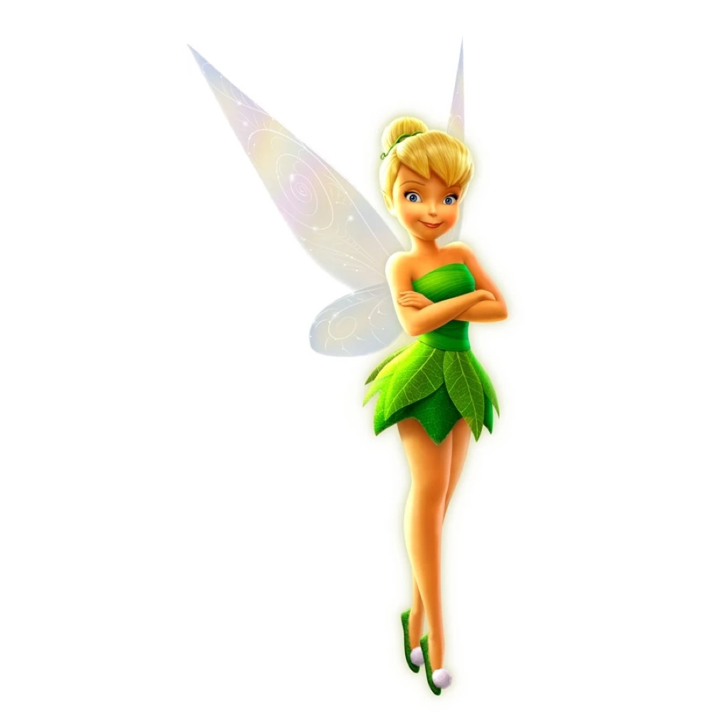 Tinkerbell Costume - Peter Pan Fancy Dress - Flats