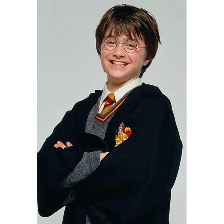 Harry Potter Costume Harry Potter Fancy Dress Ideas