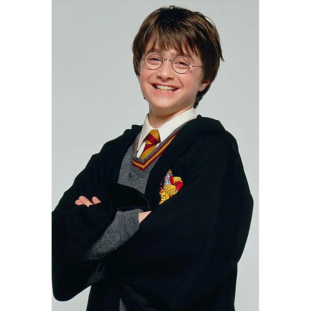 Harry Potter Costume - Harry Potter Fancy Dress