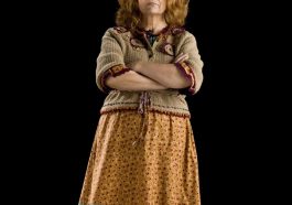 Molly Weasley Costume - Harry Potter Fancy Dress