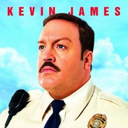 Paul Blart Mall Cop Costume - Movie Fancy Dress Ideas