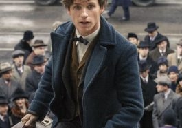 Newt Scamander Costume - Harry Potter Fancy Dress