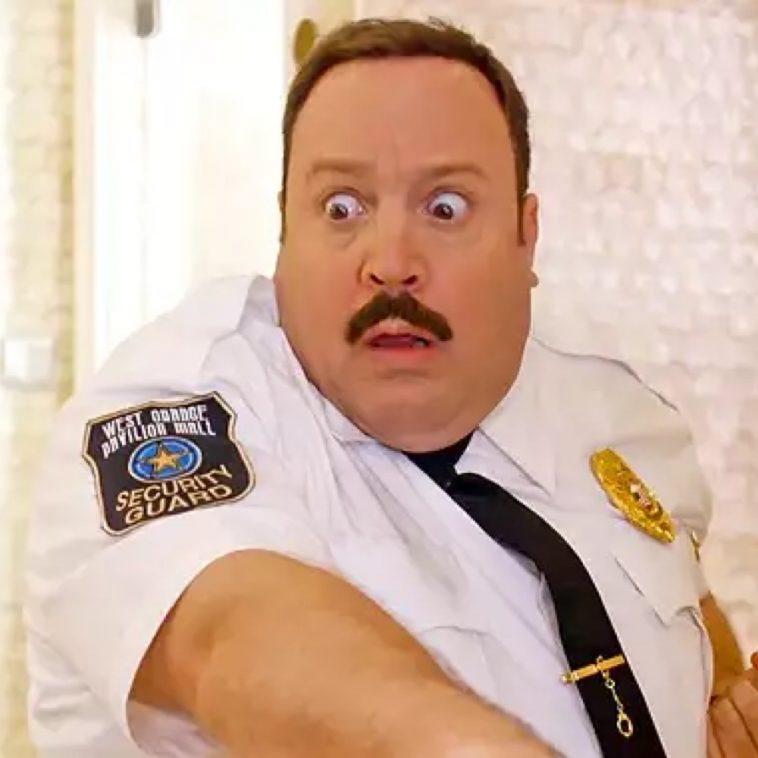Paul Blart Mall Cop Costume - Movie Fancy Dress Ideas