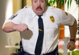 Paul Blart Mall Cop Costume - Fancy Dress