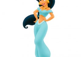 Princess Jasmine Costume - Aladdin Fancy Dress