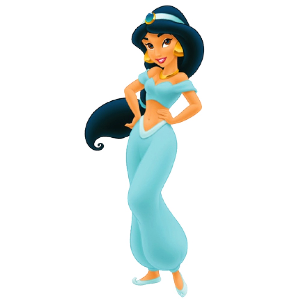 Princess Jasmine Costume - Aladdin Fancy Dress