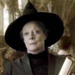 Professor Minerva McGonagall Costume - Harry Potter Fancy Dress