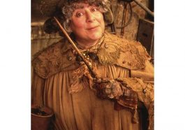 Professor Sprout Costume - Harry Potter Fancy Dress