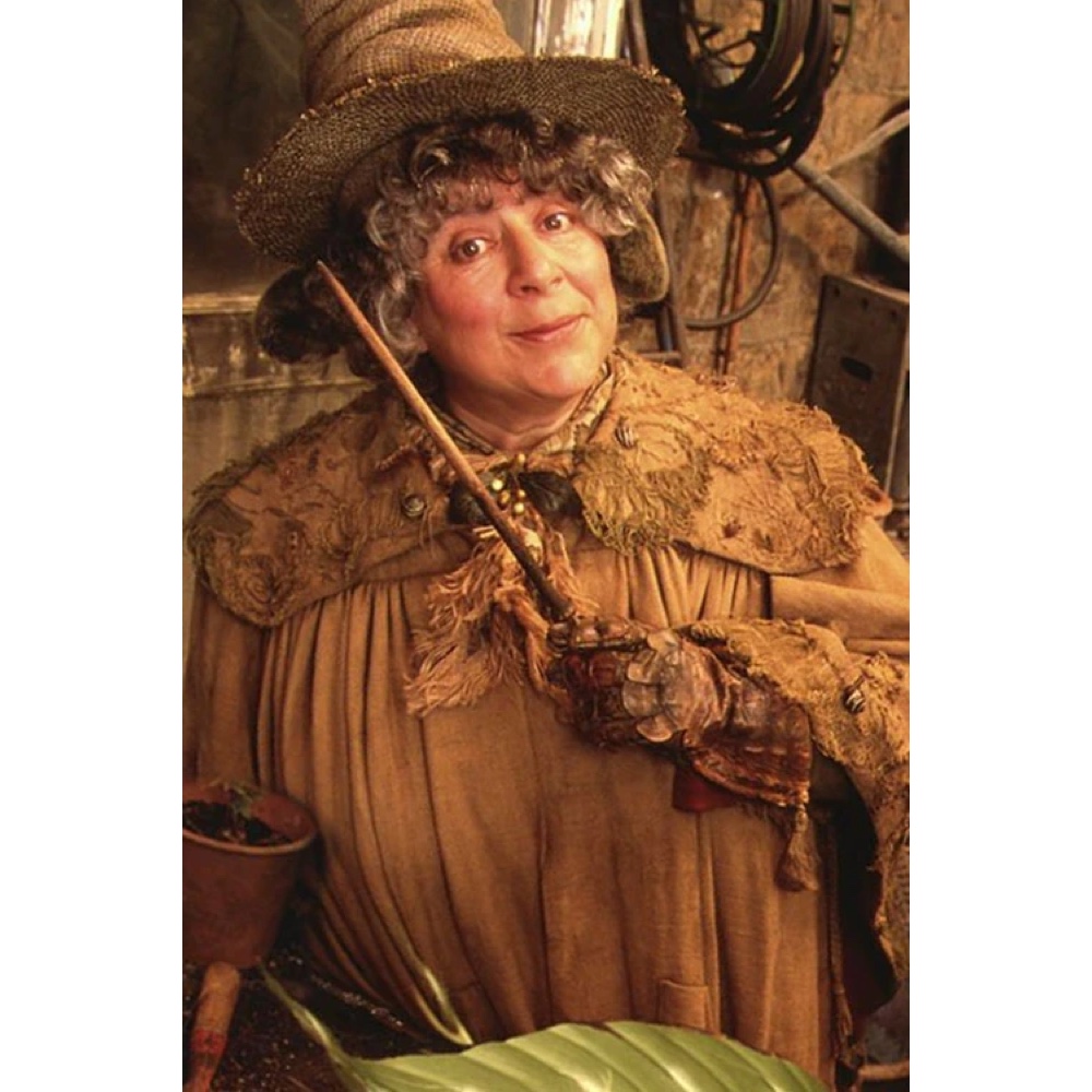 Professor Sprout Costume - Harry Potter Fancy Dress