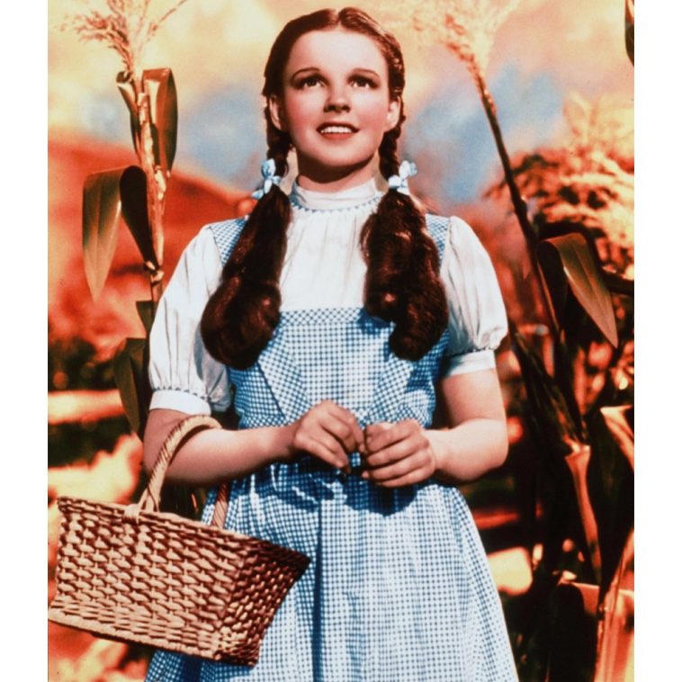 Rube's Womens Wzard Of Oz Dorothy Dress And Har Bows Costume