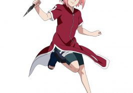 Sakura Haruno Costume - Naruto Fancy Dress