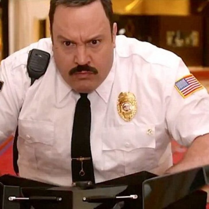 Paul Blart Mall Cop Costume - Movie Fancy Dress Ideas