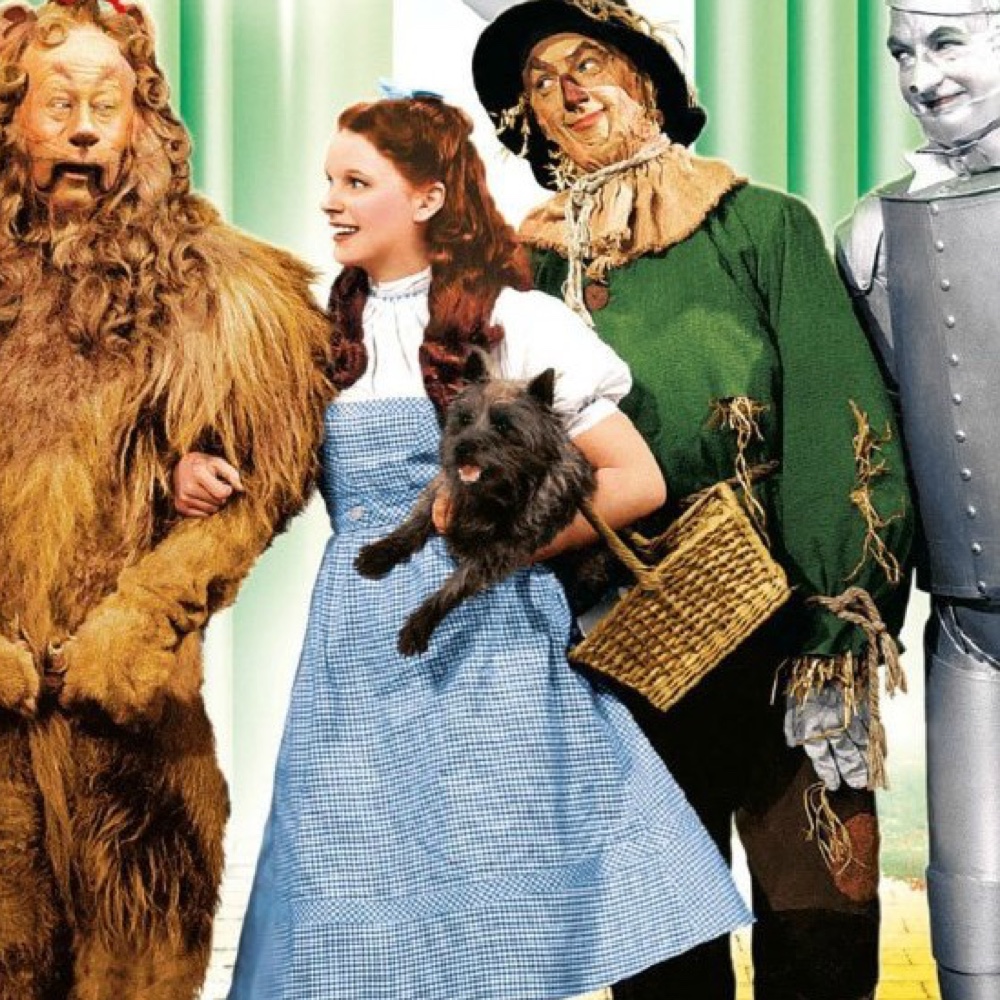 Dorothy Gale Costume - The Wizard of Oz Fancy Dress Ideas - Socks