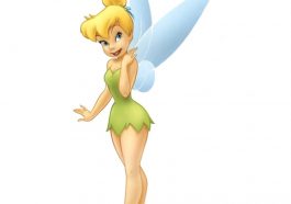 Tinkerbell Costume - Peter Pan Fancy Dress