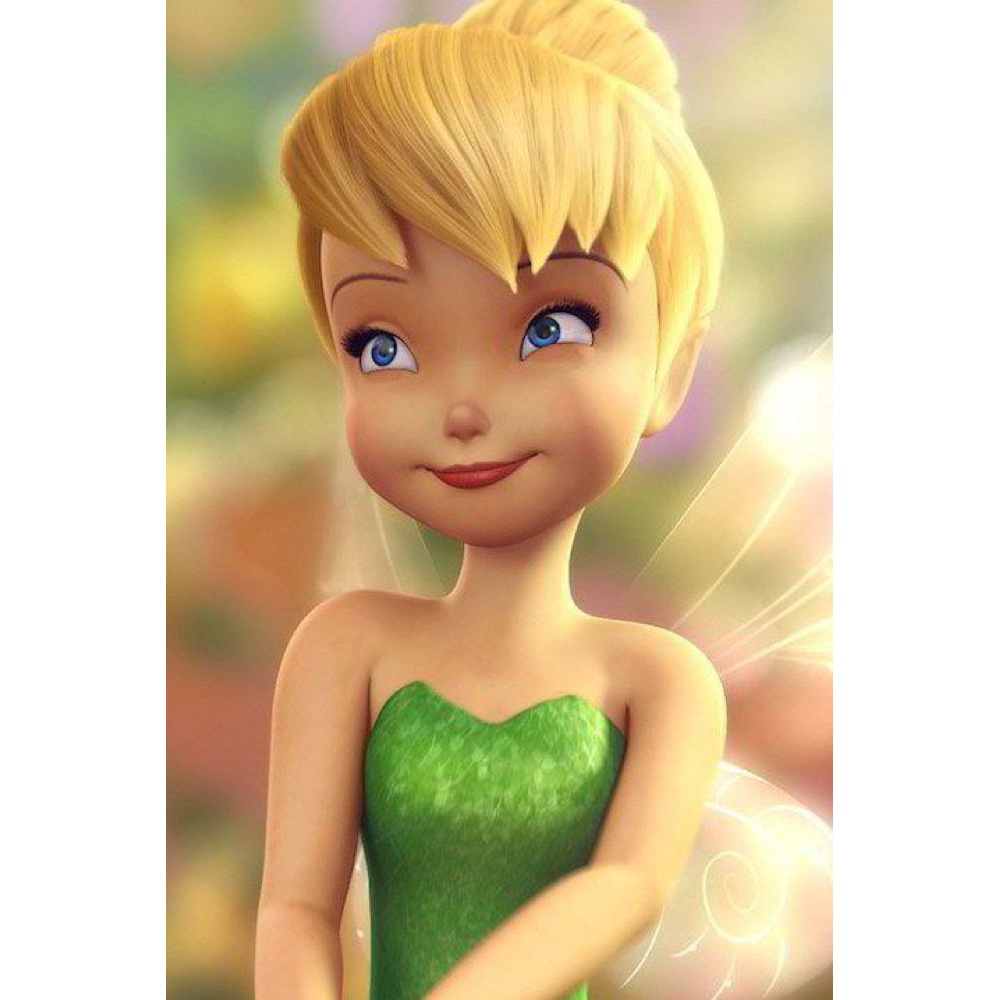Tinkerbell Costume - Peter Pan Fancy Dress - Wig