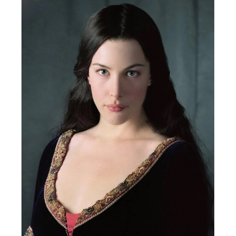 Arwen Costume - Lord of the Rings Fancy Dress - Liv Tyler