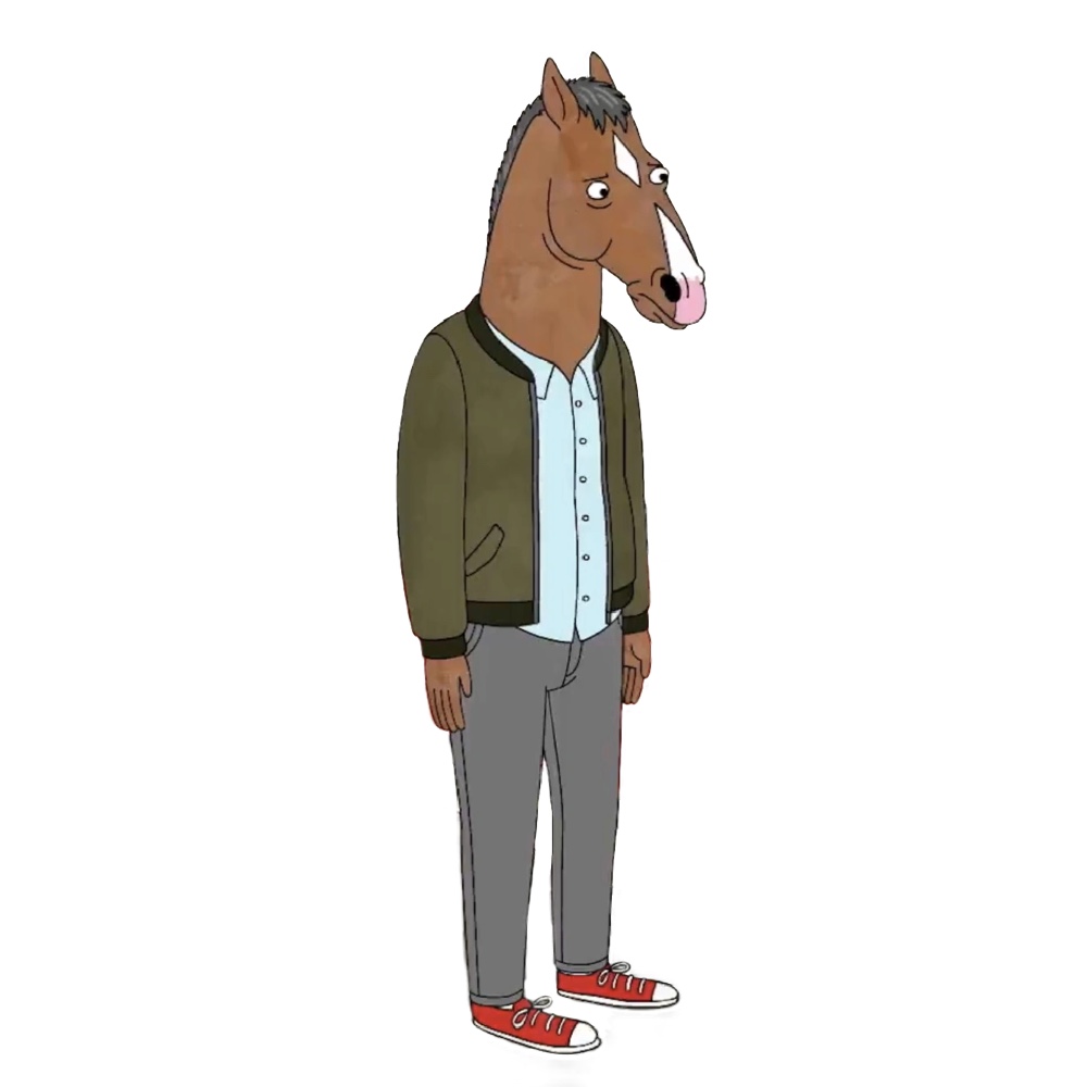 BoJack Horseman Costume - BoJack Horseman Fancy Dress