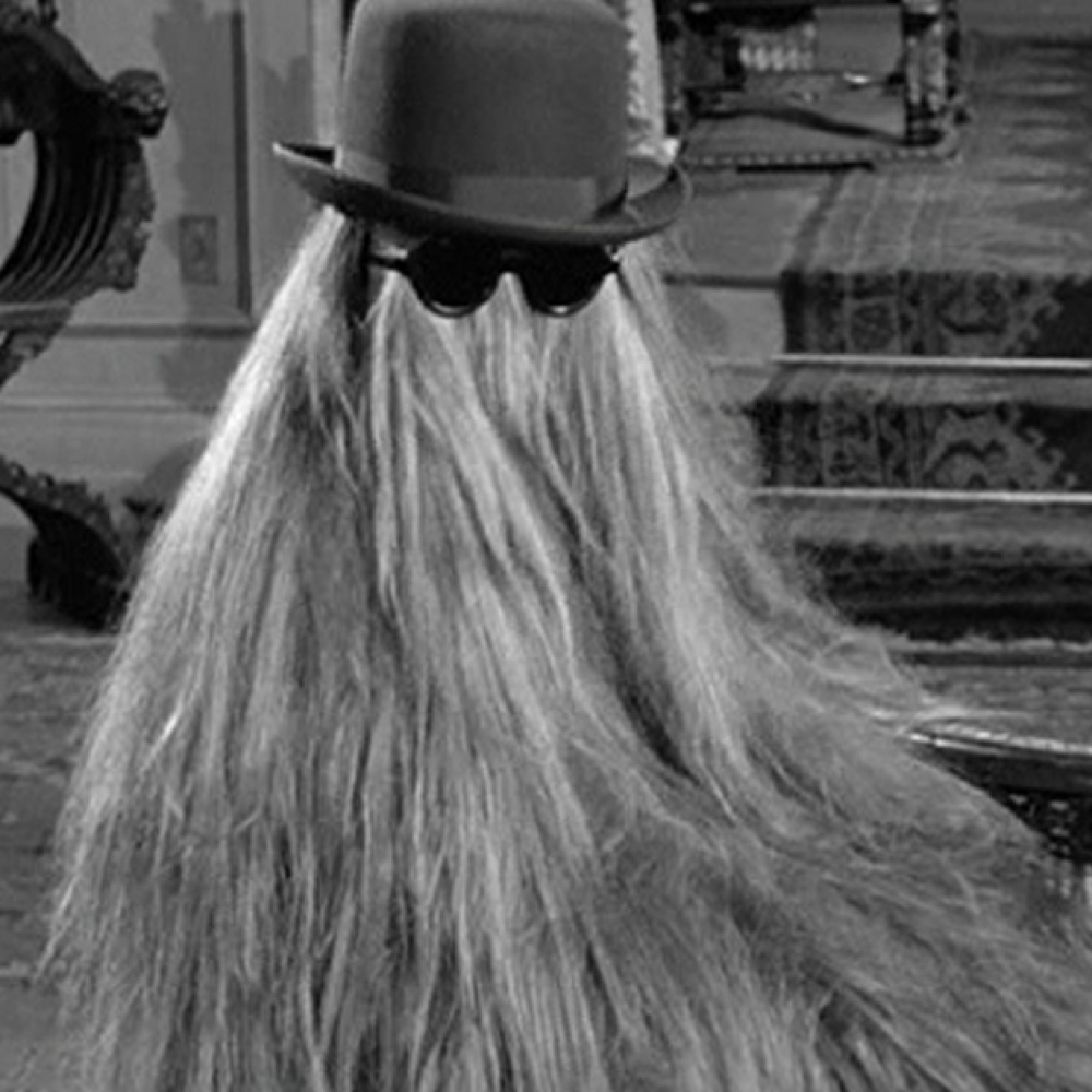 Cousin Itt Costume - Addams Family Fancy Dress Ideas - Halloween - Family Costumes