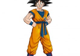 Goku Costume - Dragon Ball Fancy Dress