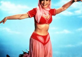 I Dream of Jeannie Costume - Fancy Dress