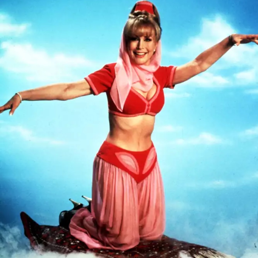 I Dream of Jeannie Costume - Fancy Dress