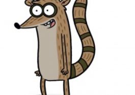 Rigby Costume - The Regular Show Fancy Dress