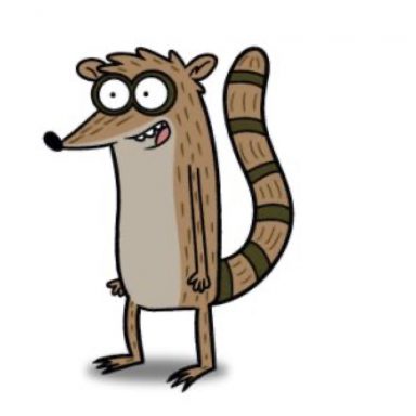 Rigby Costume - Regular Show Fancy Dress Ideas