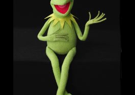 Kermit the Frog Costume - The Muppet Show Fancy Dress